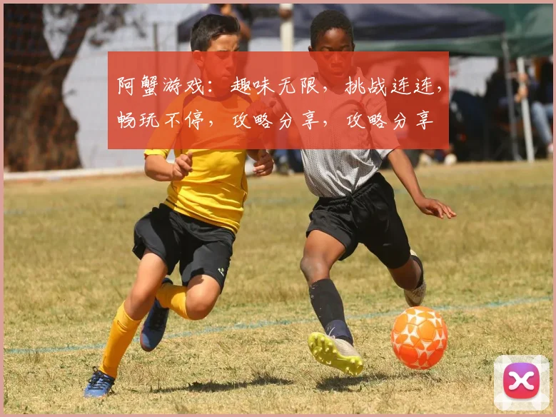 阿蟹游戏：趣味无限，挑战连连，畅玩不停，攻略分享，攻略分享