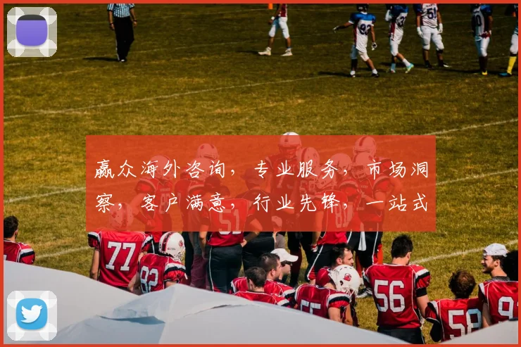 赢众海外咨询，专业服务，市场洞察，客户满意，行业先锋，一站式解决方案。