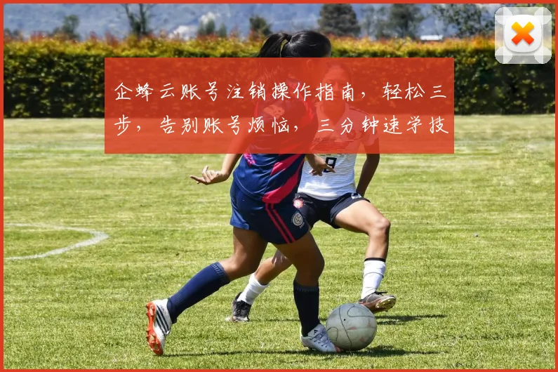 企蜂云账号注销操作指南，轻松三步，告别账号烦恼，三分钟速学技巧分享