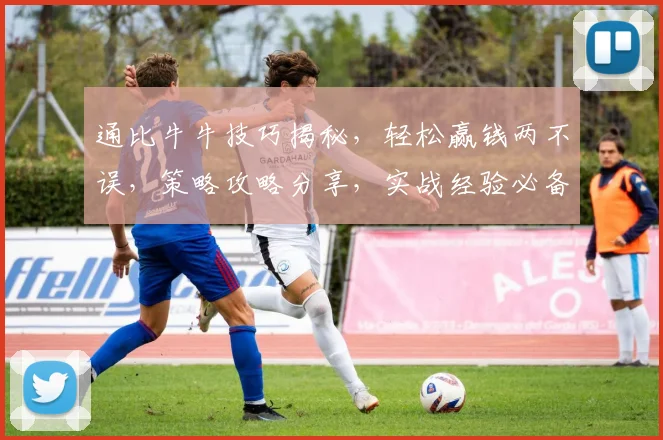 通比牛牛技巧揭秘，轻松赢钱两不误，策略攻略分享，实战经验必备