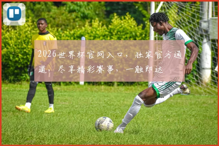 2026世界杯官网入口，独家官方通道，尽享精彩赛事，一触即达