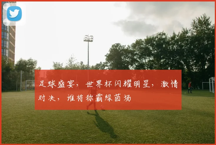 足球盛宴，世界杯闪耀明星，激情对决，谁将称霸绿茵场