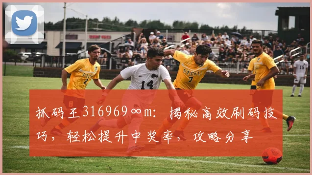 抓码王316969∞m：揭秘高效刷码技巧，轻松提升中奖率，攻略分享